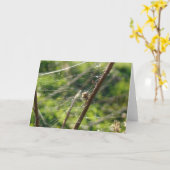 Spider Web《写真》ぼけ味 カード (黄色い花)