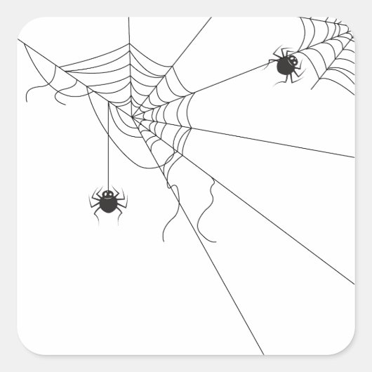 spider web net スクエアシール (正面)