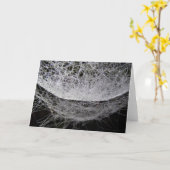 Spider Web With Dew, Water Drop Hammock カード (黄色い花)