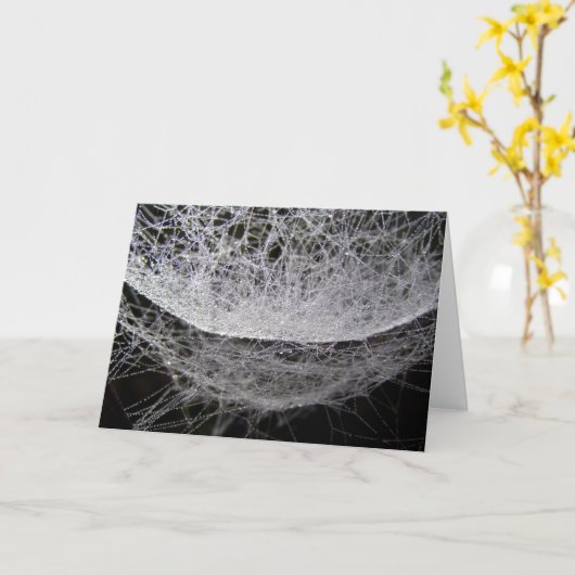 Spider Web With Dew, Water Drop Hammock カード (黄色い花)