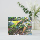 Spider Websマクロポストカード ポストカード (スタンド正面)