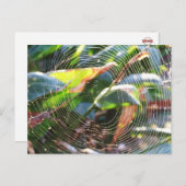 Spider Websマクロポストカード ポストカード (正面/裏面)