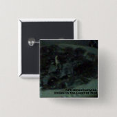 SPIDERinHALL Exilesボタン 缶バッジ (正面&裏面)