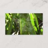 Spiderweb in Tropical Leaves Nature 名刺 (裏面)