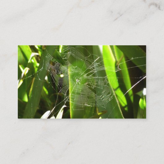 Spiderweb in Tropical Leaves Nature 名刺 (裏面)