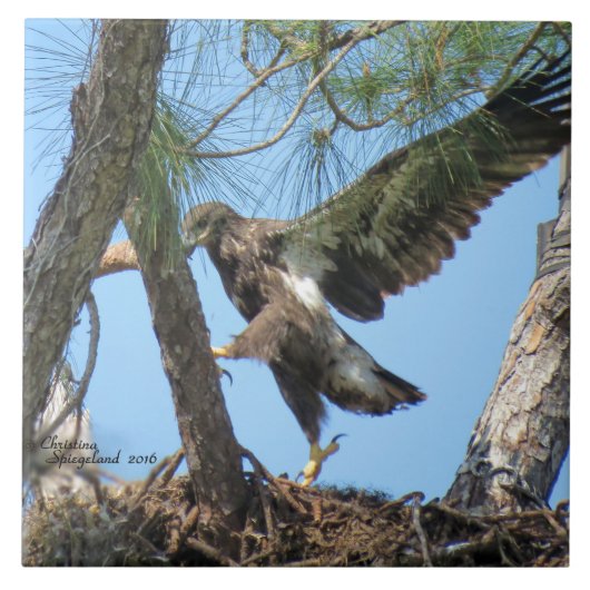 Spiegelandのタイルを飛ばしているおもしろいなワシの鳥 タイル (正面)