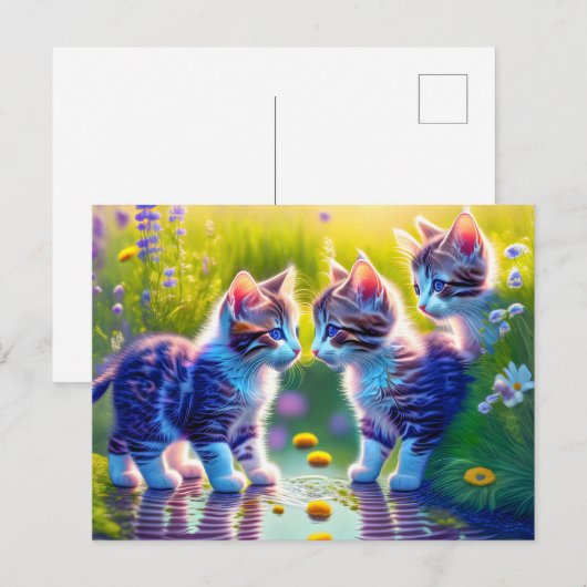 Spielende Katzenkinder ポストカード (正面/裏面)