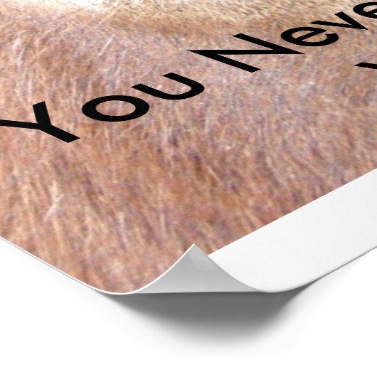 Spies Eyes ポスター (角)