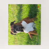 Spike the Boxer -パズル ジグソーパズル (縦)