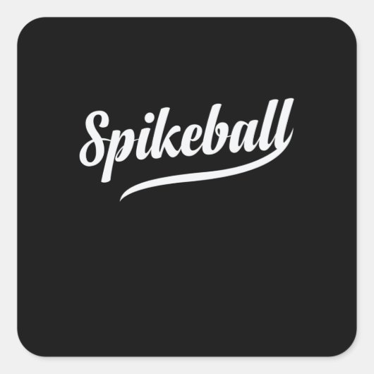 Spikeball Freizeit Sport Hobby Roundball スクエアシール (正面)