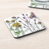 Spikenardの植物の野生の花によってはコースターが開花します コースター (左側)