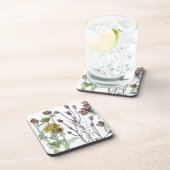 Spikenardの植物の野生の花によってはコースターが開花します コースター (右側)