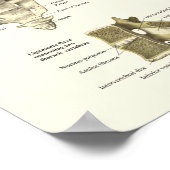 Spinal Anatomy Medical Chiropractic Poster ポスター (角)