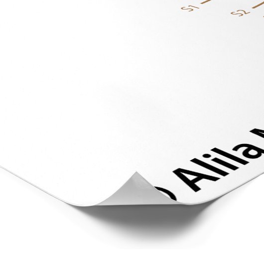 Spinal cord and spinal nerves, medical drawing. ポスター (角)