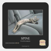 Spine スクエアシール (正面)