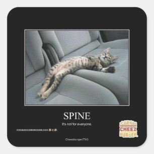 Spine スクエアシール