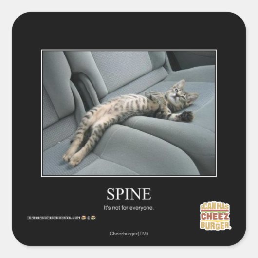 Spine スクエアシール (正面)