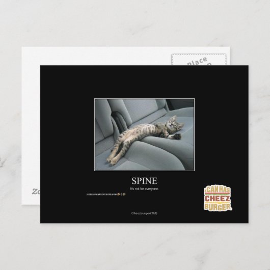 Spine ポストカード (正面/裏面)