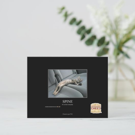 Spine ポストカード (スタンド正面)