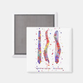 Spine マグネット (正面/裏面)