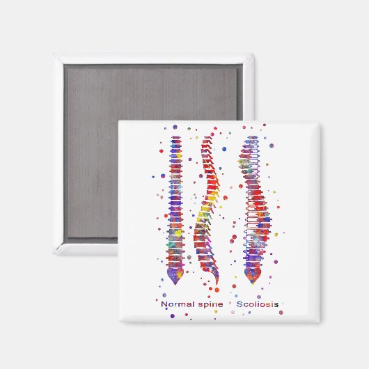 Spine マグネット (正面/裏面)