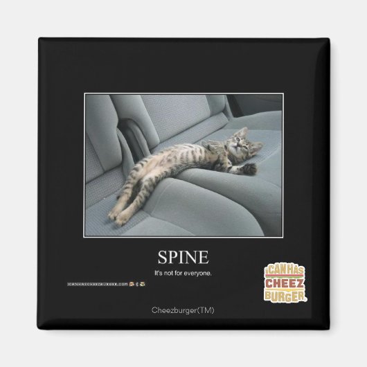 Spine マグネット (正面)