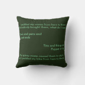 Spineyのセールスマン クッション (裏面)