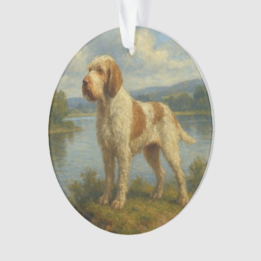 Spinone Italiano オーナメント (正面)