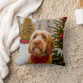 Spinone Italiano クッション (ブランケット)