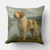 Spinone Italiano クッション (正面)