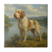 Spinone Italiano タイル (正面)