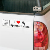 Spinone Italiano バンパーステッカー (トラック上)