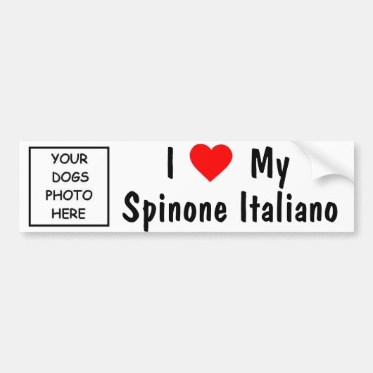 Spinone Italiano バンパーステッカー (正面)