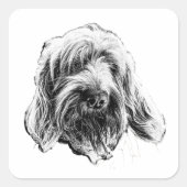 Spinone Italiano Art Sticker スクエアシール (正面)