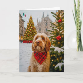 Spinone Italiano Holiday Card シーズンカード