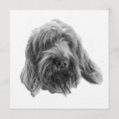 Spinone Supper Invite 招待状 (正面)