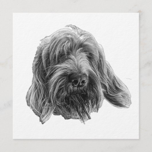 Spinone Supper Invite 招待状 (正面)