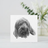 Spinone Supper Invite 招待状 (スタンド正面)