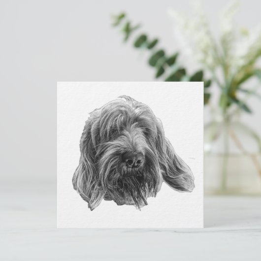 Spinone Supper Invite 招待状 (スタンド正面)