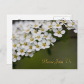 Spiraeaお願いポストカード ポストカード (正面/裏面)