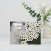 Spiraea Thank Youポストカード ポストカード (スタンド正面)
