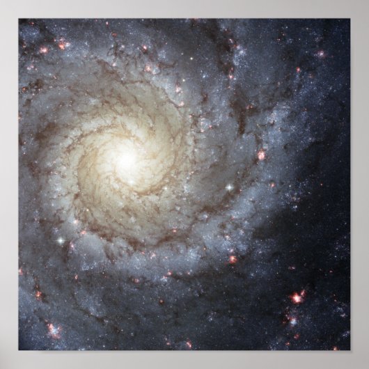Spiral galaxy M74 ポスター (正面)