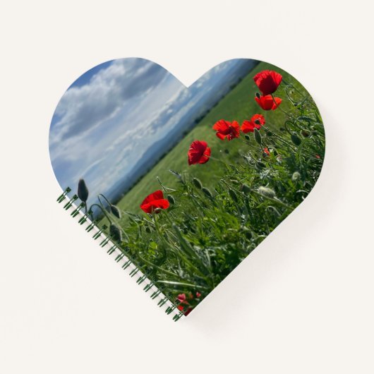 Spiral Notebook ノートブック (正面)