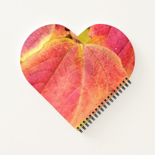 Spiral Notebook ノートブック (裏面)