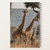 Spiral Notebook ノートブック (裏面)