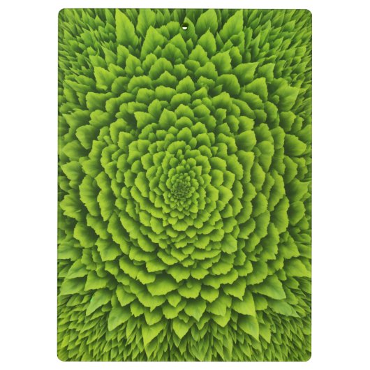 Spiral Photo Notebook クリップボード (裏面)