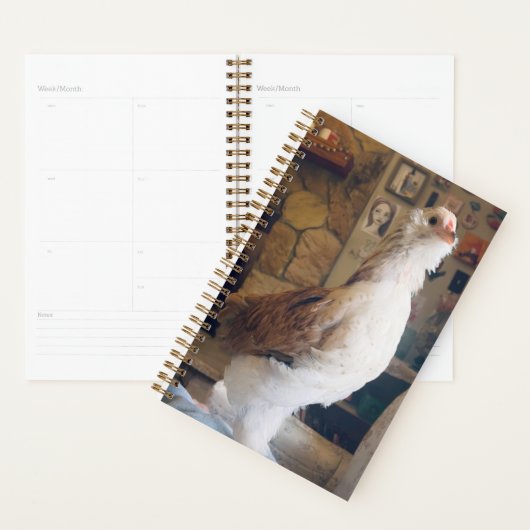 Spiral Planner Chicken on the Fireplace プランナー手帳 (ディスプレー)