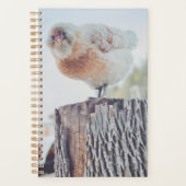 Spiral Planner - Its a Stumped Day プランナー手帳 (正面)