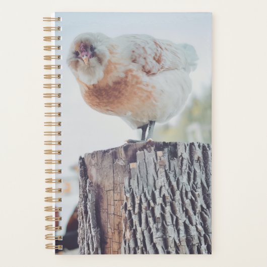 Spiral Planner - Its a Stumped Day プランナー手帳 (正面)