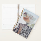 Spiral Planner - Its a Stumped Day プランナー手帳 (ディスプレー)